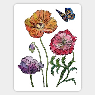 Poppy Watercolour Pretty on White Sticker